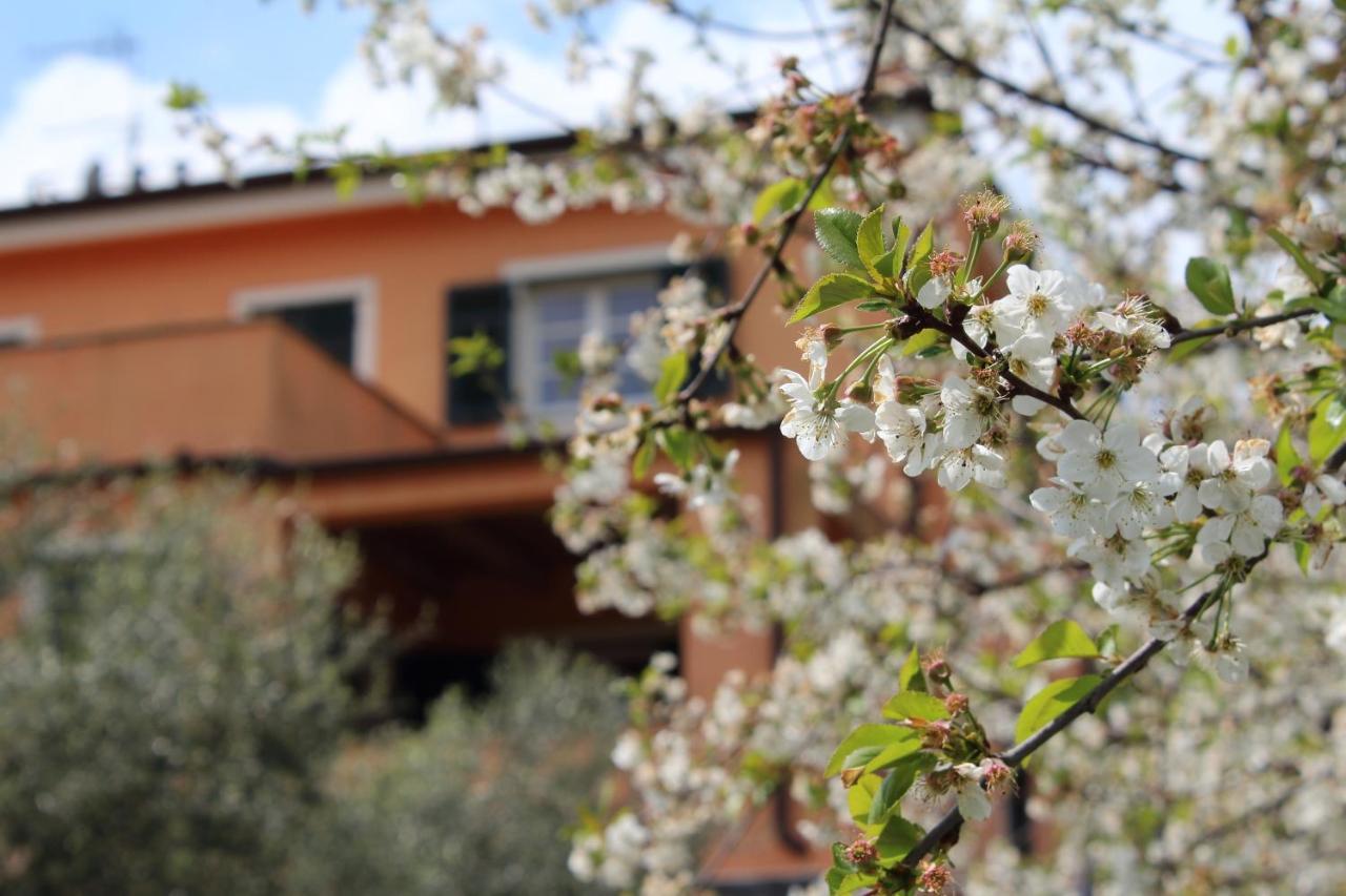 Villa Arancia Quiet, Central, Parking And Air Conditioning Levanto Kültér fotó
